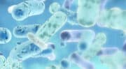 Nahibu lance la première gamme de probiotiques développée par des experts du microbiote