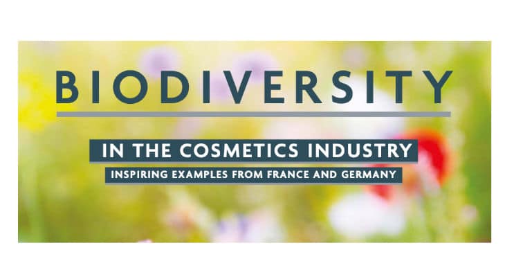 Sortie du nouveau Guide de bonnes pratiques pour les entreprises cosmétiques