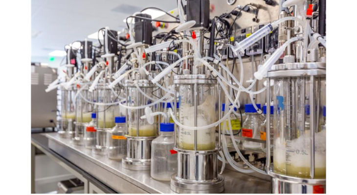 Ingrédients cosmétiques : DIC et Debu annoncent la construction d’une unité de bioproduction innovante aux États-Unis et le lancement de la commercialisation internationale en 2024