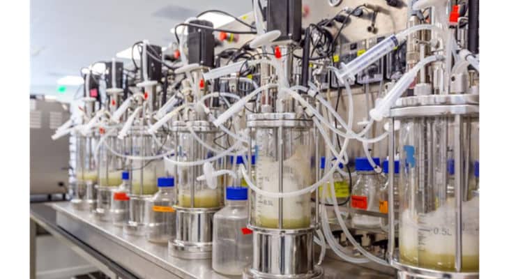 Biotechnologie : DIC et Debut vont développer des polyphénols pour le secteur des cosmétiques