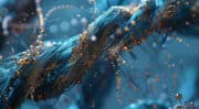 Ingrédient actif : Provital renforce la structure moléculaire du cheveu avec Keradeep