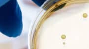 Symrise se renforce dans les probiotiques