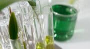 Groupe Berkem intègre Biopress et élargit son offre pour les marchés de la santé, de la beauté et de la nutrition